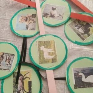 4 octombrie – Ziua mondială a Animalelor.
