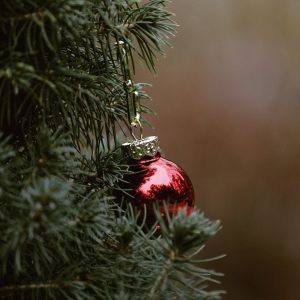 Mesaj de felicitare cu prilejul Sărbătorilor de iarnă