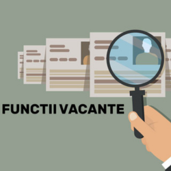 ANUNȚ Concurs pentru ocuparea funcției vacante de DIRECTOR al IP LT „Mitropolit Nestor Vornicescu”